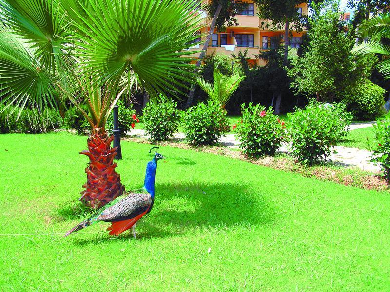 Green Peace Hotel มาห์มุตลาร์ ภายนอก รูปภาพ